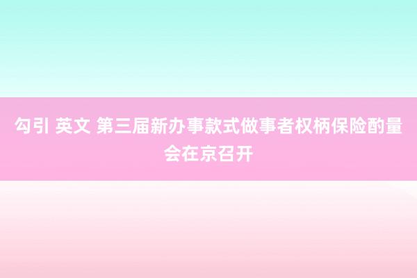 勾引 英文 第三届新办事款式做事者权柄保险酌量会在京召开