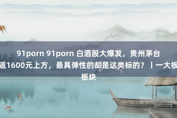 91porn 91porn 白酒股大爆发，贵州茅台重返1600元上方，最具弹性的却是这类标的？丨一大板块