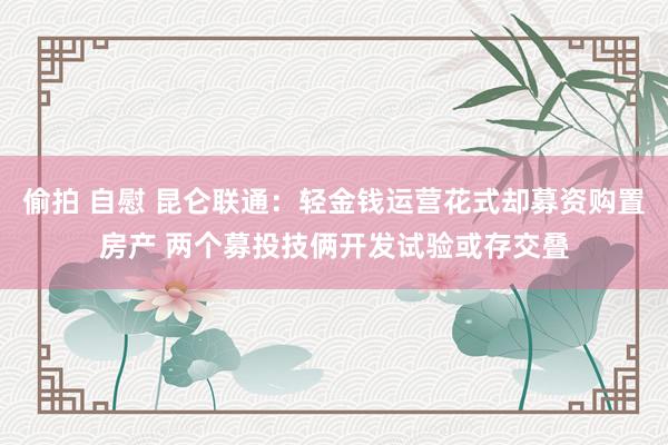 偷拍 自慰 昆仑联通：轻金钱运营花式却募资购置房产 两个募投技俩开发试验或存交叠