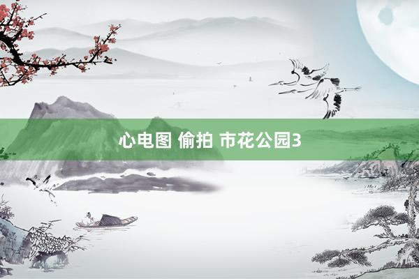 心电图 偷拍 市花公园3