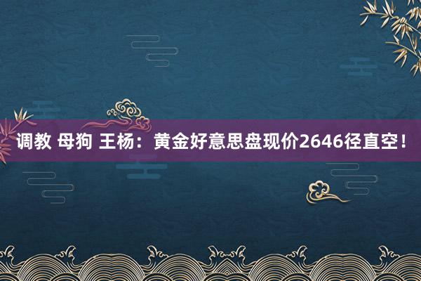 调教 母狗 王杨：黄金好意思盘现价2646径直空！
