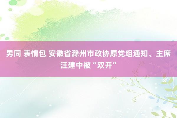 男同 表情包 安徽省滁州市政协原党组通知、主席汪建中被“双开”