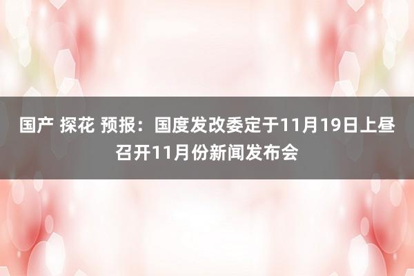 国产 探花 预报：国度发改委定于11月19日上昼召开11月份新闻发布会