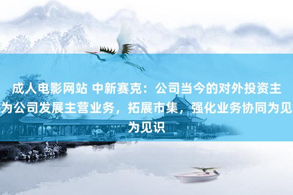 成人电影网站 中新赛克：公司当今的对外投资主要为公司发展主营业务，拓展市集，强化业务协同为见识