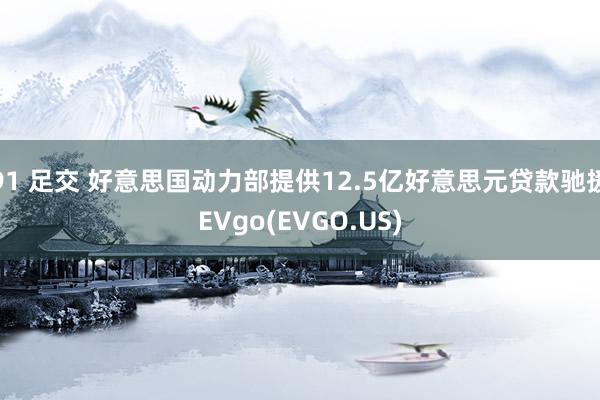 91 足交 好意思国动力部提供12.5亿好意思元贷款驰援EVgo(EVGO.US)