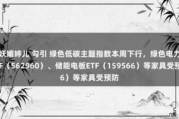 妖媚婷儿 勾引 绿色低碳主题指数本周下行，绿色电力ETF（562960）、储能电板ETF（159566）等家具受预防