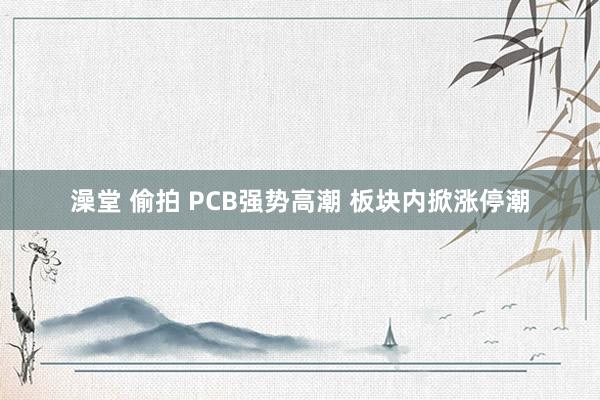 澡堂 偷拍 PCB强势高潮 板块内掀涨停潮