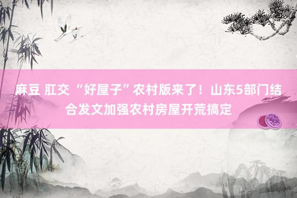 麻豆 肛交 “好屋子”农村版来了！山东5部门结合发文加强农村房屋开荒搞定