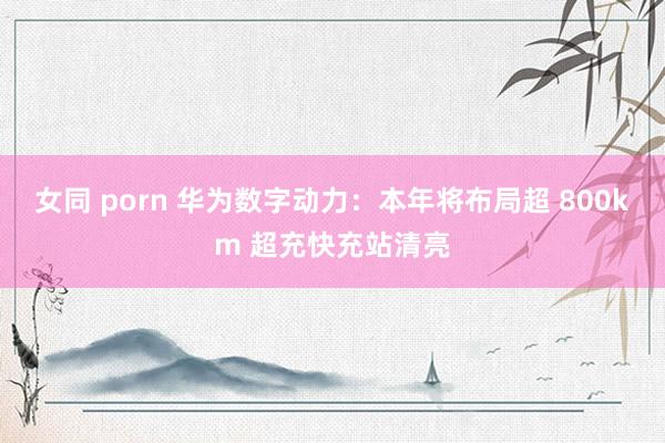 女同 porn 华为数字动力：本年将布局超 800km 超充快充站清亮