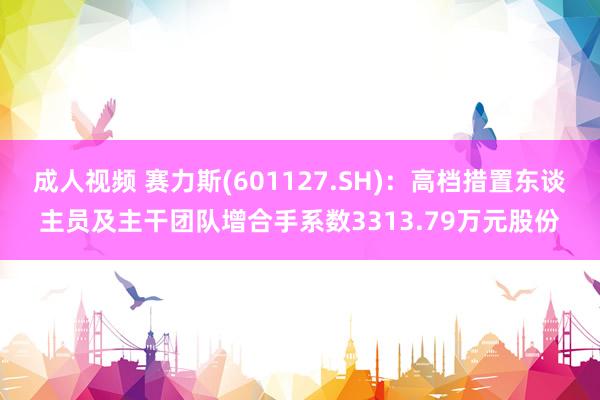 成人视频 赛力斯(601127.SH)：高档措置东谈主员及主干团队增合手系数3313.79万元股份